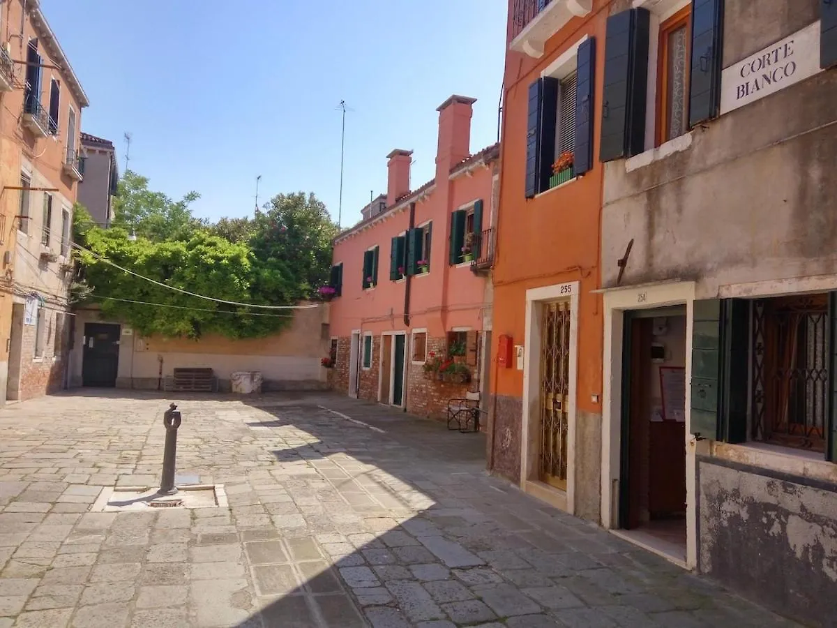 威尼斯Biennale Giardini Ca Del Bianco 3 E Ca Del Bianco 4公寓 意大利